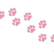 ヒメ日記 2026/01/27 15:14 投稿 さくら 木更津人妻花壇