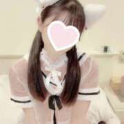 ヒメ日記 2025/11/28 14:20 投稿 千代島　ももか ミセスサマンサPLUS