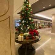 ヒメ日記 2025/12/24 11:32 投稿 彩月 美叶 MADAM RENA 名古屋