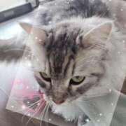 ヒメ日記 2025/12/15 14:43 投稿 まなか One More 奥様　錦糸町店