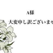ヒメ日記 2026/02/17 11:06 投稿 鈴木 あい こあくまな熟女たち 京都店(KOAKUMAグループ)