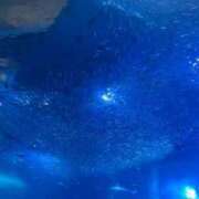 ヒメ日記 2025/12/22 12:33 投稿 湊　いちか OLピンクコレクション