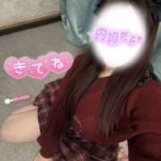 ヒメ日記 2026/03/25 00:13 投稿 ゆめ 激安限界突破！ Value～バリュー～