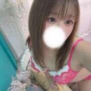 ヒメ日記 2025/11/26 23:33 投稿 きい 西船人妻花壇