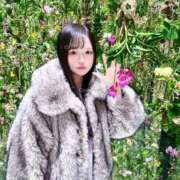 ヒメ日記 2026/02/20 16:40 投稿 ここ（動画撮影OＫ） OKINI Tokyo in 蒲田