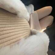 めろ☆目を引く美しさ。 ぬくぬくしたい… Hills Premier