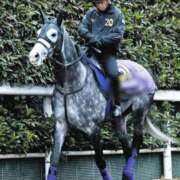 あおい 馬並みの♡♡注目♡ 熟女デリヘル倶楽部