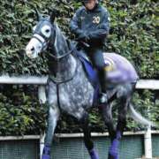 あおい 目が飛び出た！ 熟女デリヘル倶楽部