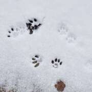 あおい 好きです♡ 熟女デリヘル倶楽部