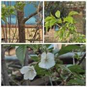 あおい ◯◯物件( *´艸｀) 熟女デリヘル倶楽部