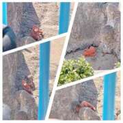 あおい 離さないでー！ 熟女デリヘル倶楽部