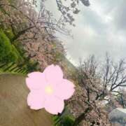 ヒメ日記 2026/04/01 17:58 投稿 あいる PHANTOM(ファントム)