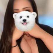 Ｙayoi(やよい) (*) AMATERAS(アマテラス)(福山)