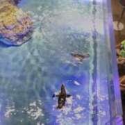 ヒメ日記 2025/12/07 12:01 投稿 二宮瑠香 プレジデントクラブ