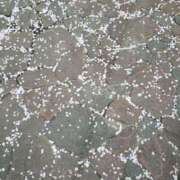 ヒメ日記 2026/04/07 09:30 投稿 二宮瑠香 プレジデントクラブ