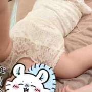 ヒメ日記 2025/12/17 17:18 投稿 桃ノ木ななこ クラブダンディー