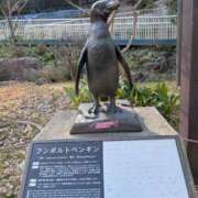 桃ノ木ななこ お休みいただいてますᴗ  ̫ ᴗ クラブダンディー