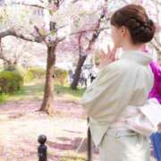 ヒメ日記 2026/03/25 11:26 投稿 美沢玲奈 ハールブルク