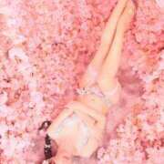 ヒメ日記 2026/04/10 12:07 投稿 美沢玲奈 ハールブルク