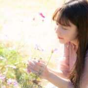 ヒメ日記 2026/04/12 12:02 投稿 美沢玲奈 ハールブルク