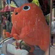 ヒメ日記 2025/12/07 08:09 投稿 すい 妖精（ようせい）