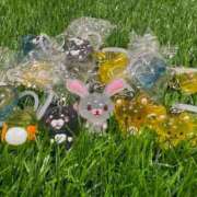 ヒメ日記 2025/12/15 16:44 投稿 すい 妖精（ようせい）