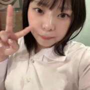 ヒメ日記 2026/02/15 12:38 投稿 すい 妖精（ようせい）