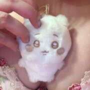 ヒメ日記 2026/02/27 16:55 投稿 すい 妖精（ようせい）