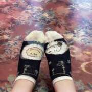 ヒメ日記 2026/03/01 17:25 投稿 すい 妖精（ようせい）