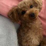 ヒメ日記 2025/12/07 12:09 投稿 にこ FORTE