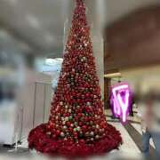 ヒメ日記 2025/12/07 10:43 投稿 さくらこ 熟女の風俗最終章 新潟店