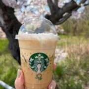 ヒメ日記 2026/04/08 14:40 投稿 さくらこ 熟女の風俗最終章 新潟店