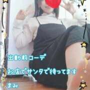 ヒメ日記 2025/12/16 09:59 投稿 まみ アネックスジャパン