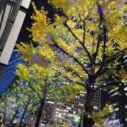 ヒメ日記 2026/01/31 15:04 投稿 ゆう スパーク梅田店