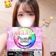 有田ふわり 🉐にゃんにゃんにゃん🐱✌️ HYPER TOKYO