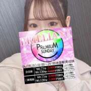 ヒメ日記 2026/04/19 13:18 投稿 有田ふわり HYPER TOKYO