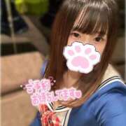 ヒメ日記 2025/11/30 06:00 投稿 ことこ ていくぷらいど.学園