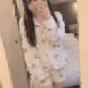 ヒメ日記 2026/09/27 09:29 投稿 ことこ ていくぷらいど.学園