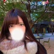 ヒメ日記 2025/12/17 16:08 投稿 みやび 品川ハイブリッドマッサージ