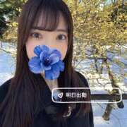 ヒメ日記 2026/02/09 19:28 投稿 みやび 品川ハイブリッドマッサージ