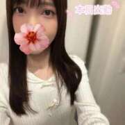 ヒメ日記 2026/03/03 17:00 投稿 みやび 品川ハイブリッドマッサージ