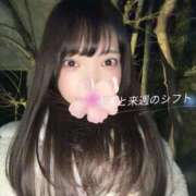 ヒメ日記 2026/03/12 00:48 投稿 みやび 品川ハイブリッドマッサージ