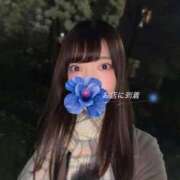 ヒメ日記 2026/03/18 20:38 投稿 みやび 品川ハイブリッドマッサージ