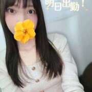 ヒメ日記 2026/04/05 00:08 投稿 みやび 品川ハイブリッドマッサージ