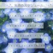 ヒメ日記 2026/04/30 06:14 投稿 みやび 品川ハイブリッドマッサージ