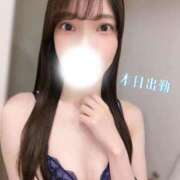 ヒメ日記 2026/05/12 14:48 投稿 みやび 品川ハイブリッドマッサージ