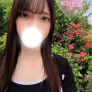 ヒメ日記 2026/05/26 14:28 投稿 みやび 品川ハイブリッドマッサージ