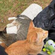 ヒメ日記 2026/01/21 09:42 投稿 かんな mu-mii神田店（ムーミー神田店）