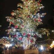 ヒメ日記 2025/12/18 11:21 投稿 ゆさ 即アポマダム～名古屋店～