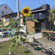 板野(ｲﾀﾉ) 一段と 小山人妻城